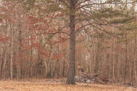 1555 Palmer Firetower Road Palmer TN 37365