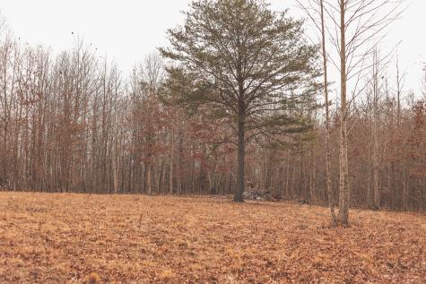 1555 Palmer Firetower Road Palmer TN 37365