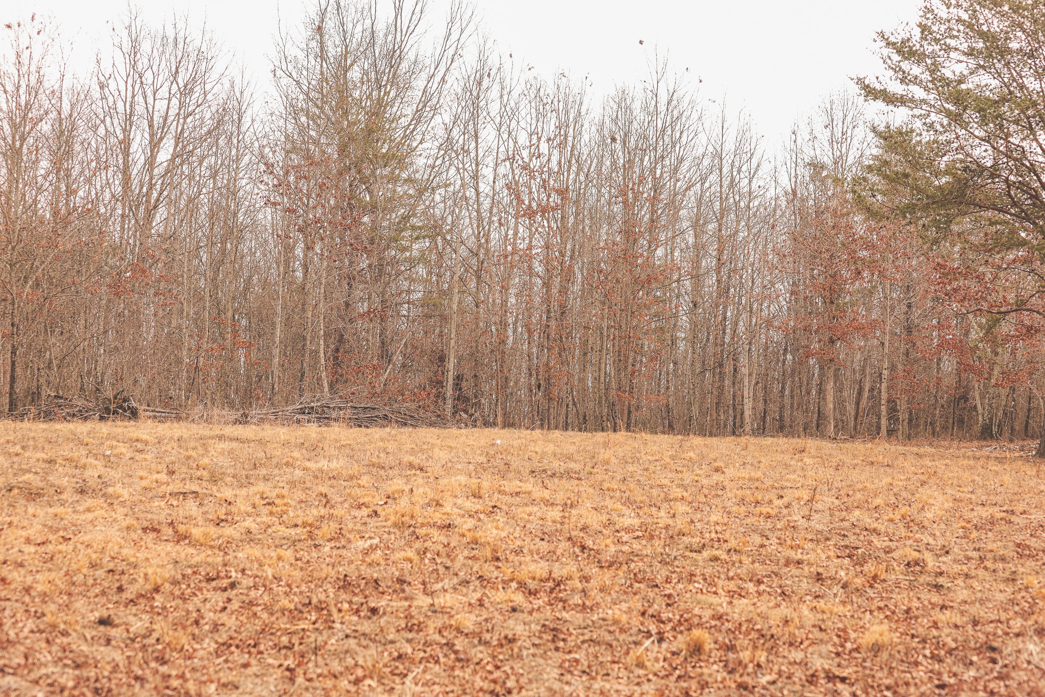 1555 Palmer Firetower Road Palmer TN 37365