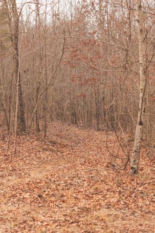 1555 Palmer Firetower Road Palmer TN 37365