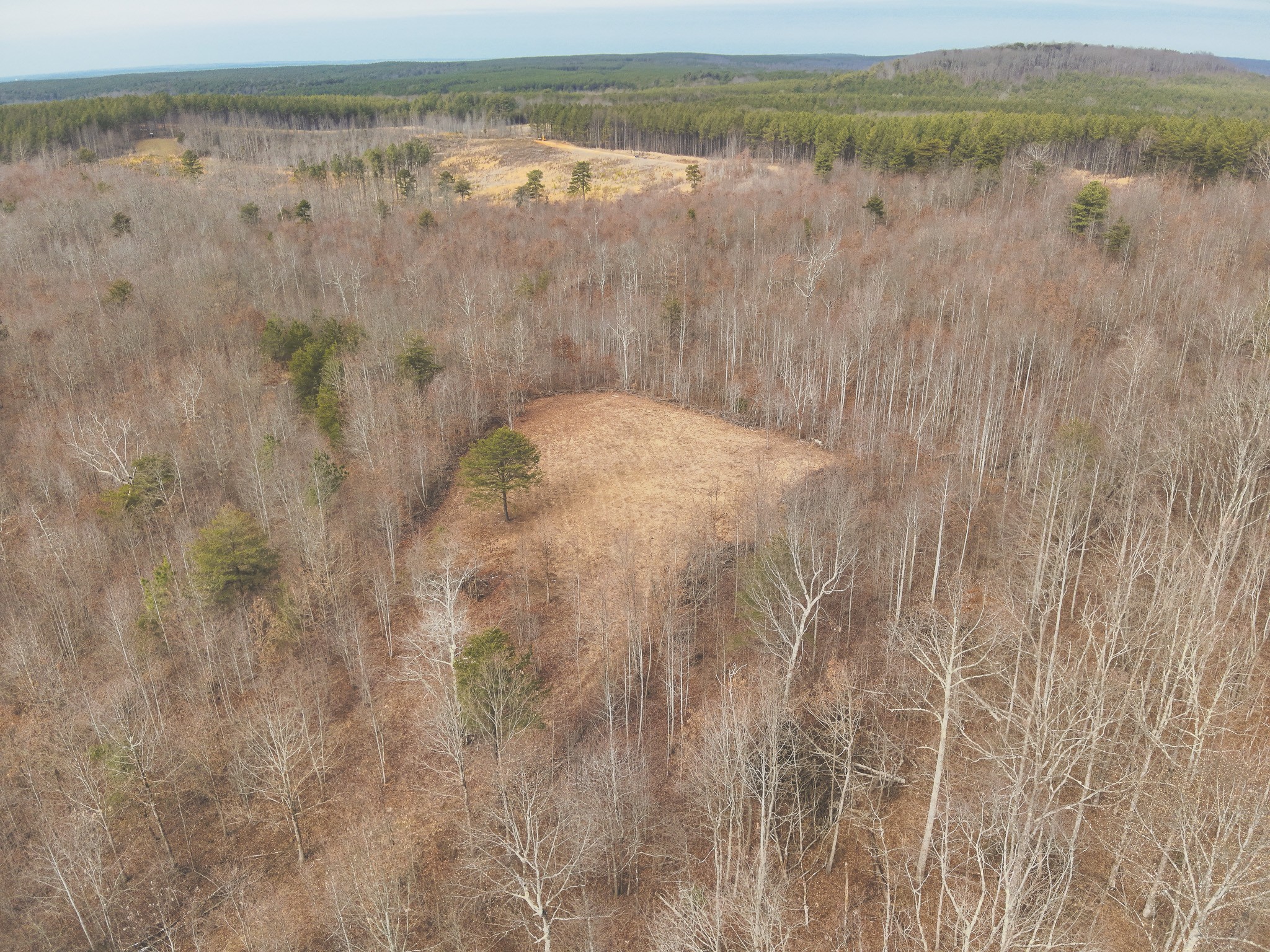 1555 Palmer Firetower Road Palmer TN 37365