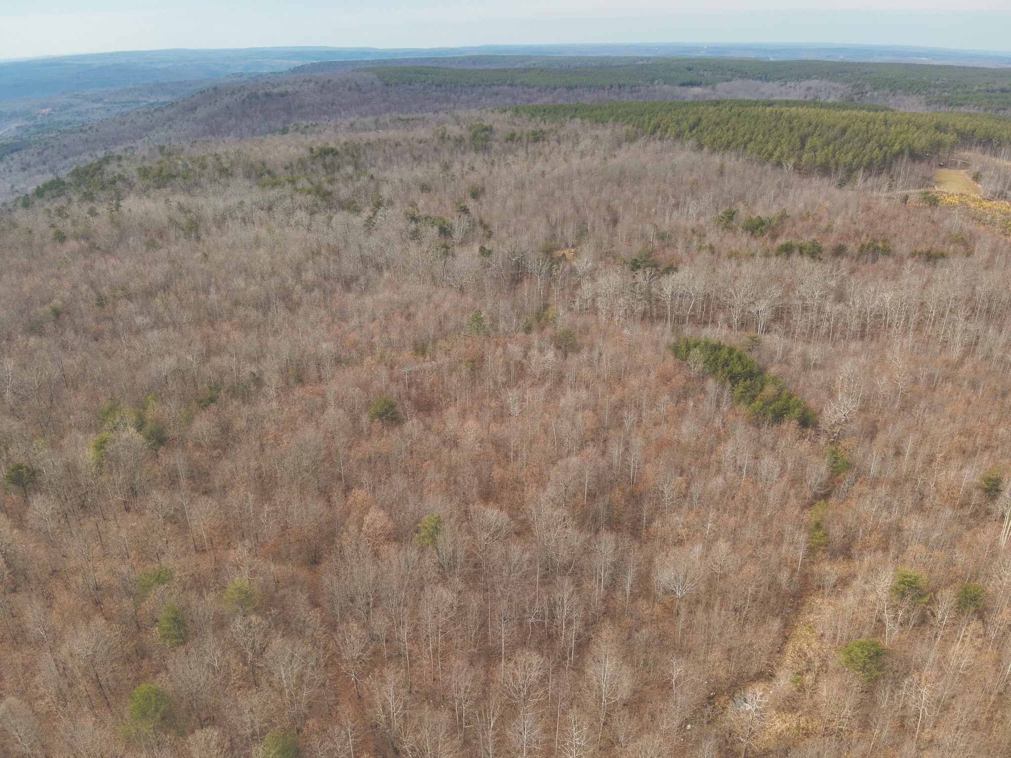 1555 Palmer Firetower Road Palmer TN 37365