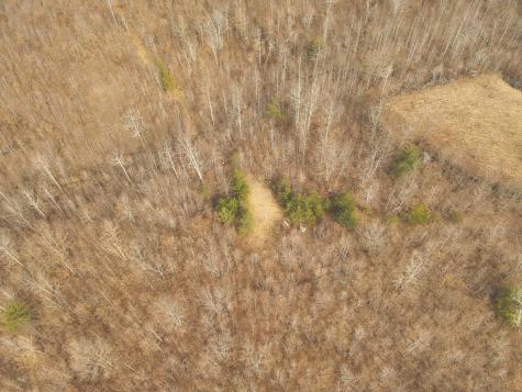 1555 Palmer Firetower Road Palmer TN 37365