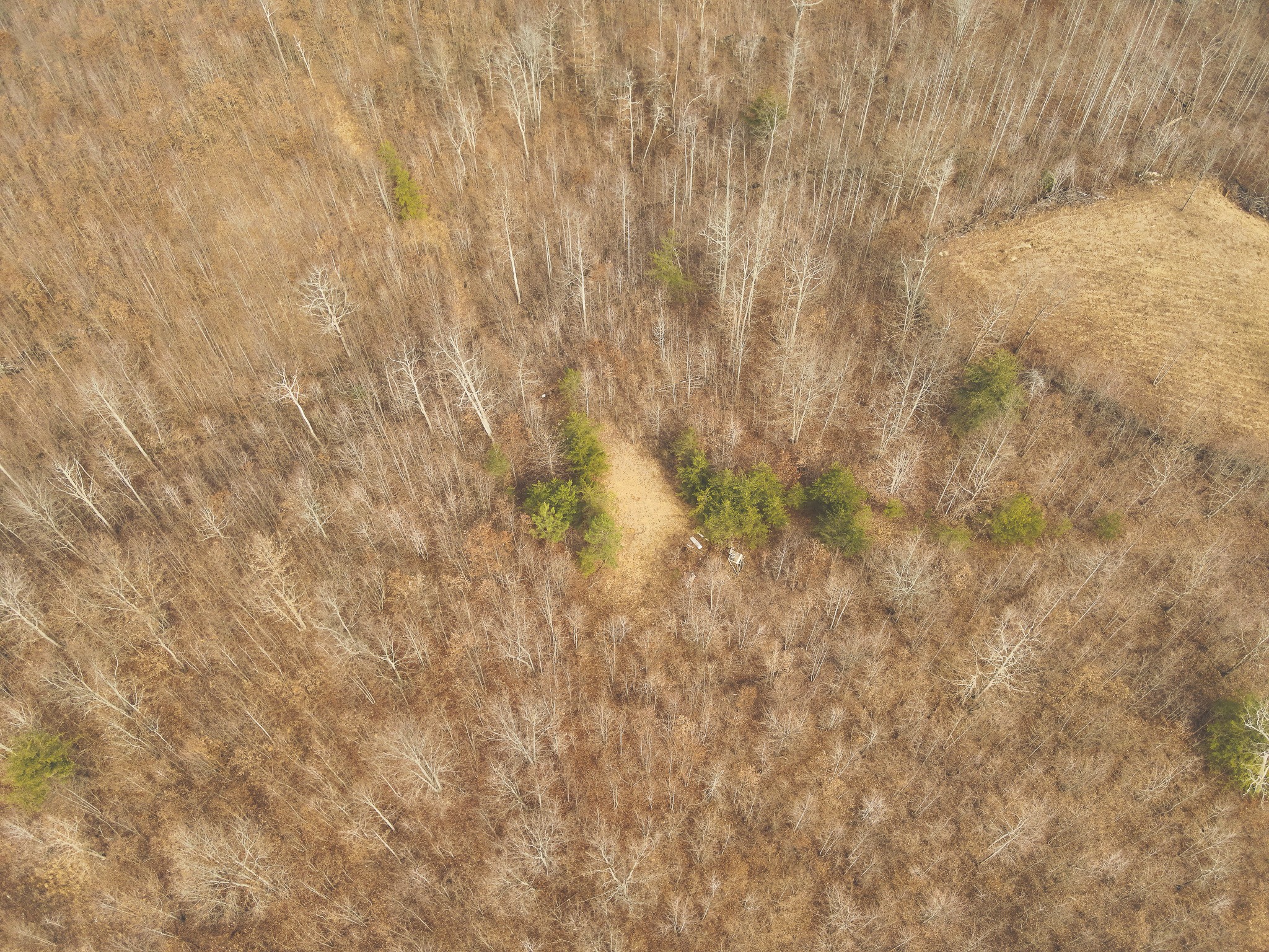 1555 Palmer Firetower Road Palmer TN 37365