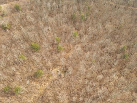 1555 Palmer Firetower Road Palmer TN 37365