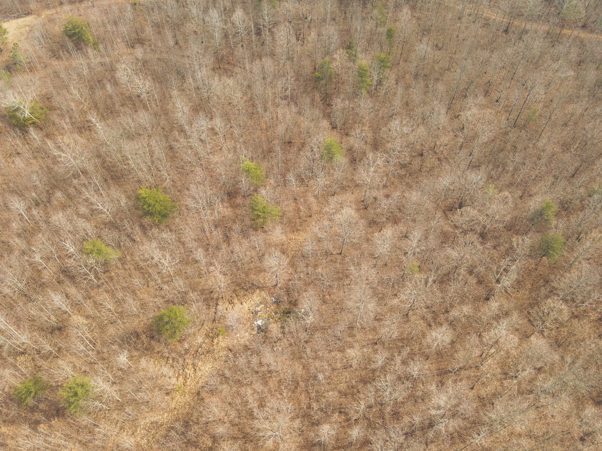 1555 Palmer Firetower Road Palmer TN 37365
