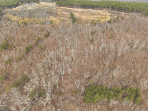 1555 Palmer Firetower Road Palmer TN 37365