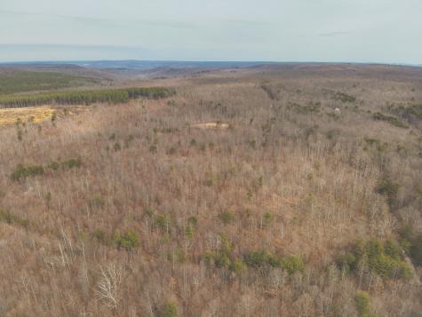 1555 Palmer Firetower Road Palmer TN 37365