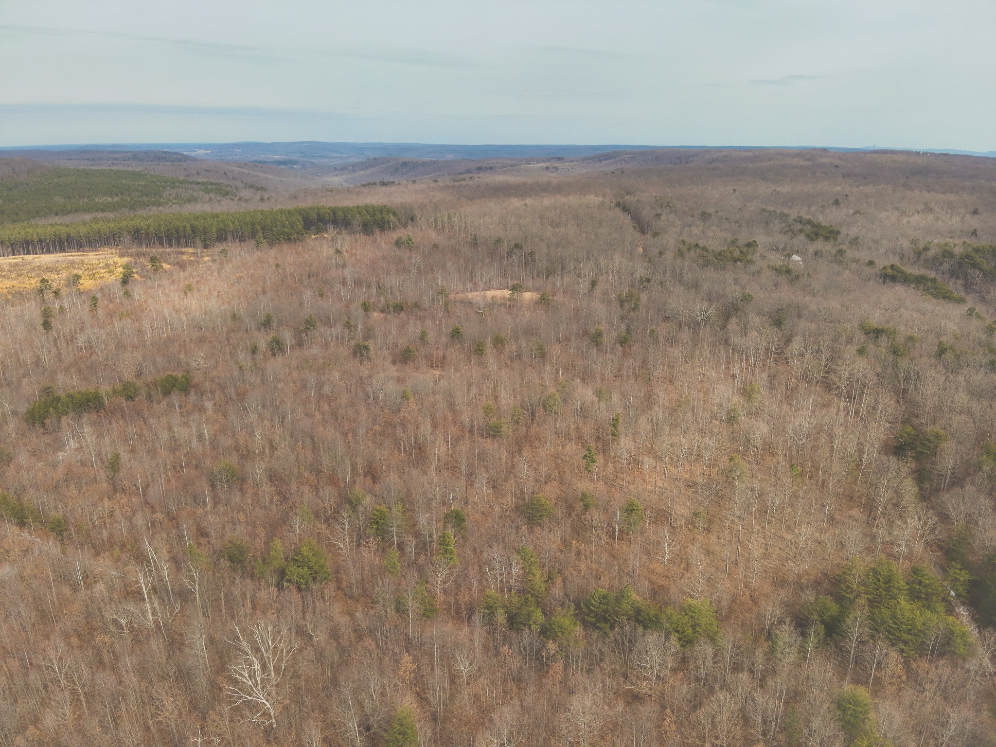 1555 Palmer Firetower Road Palmer TN 37365