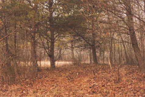 1555 Palmer Firetower Road Palmer TN 37365