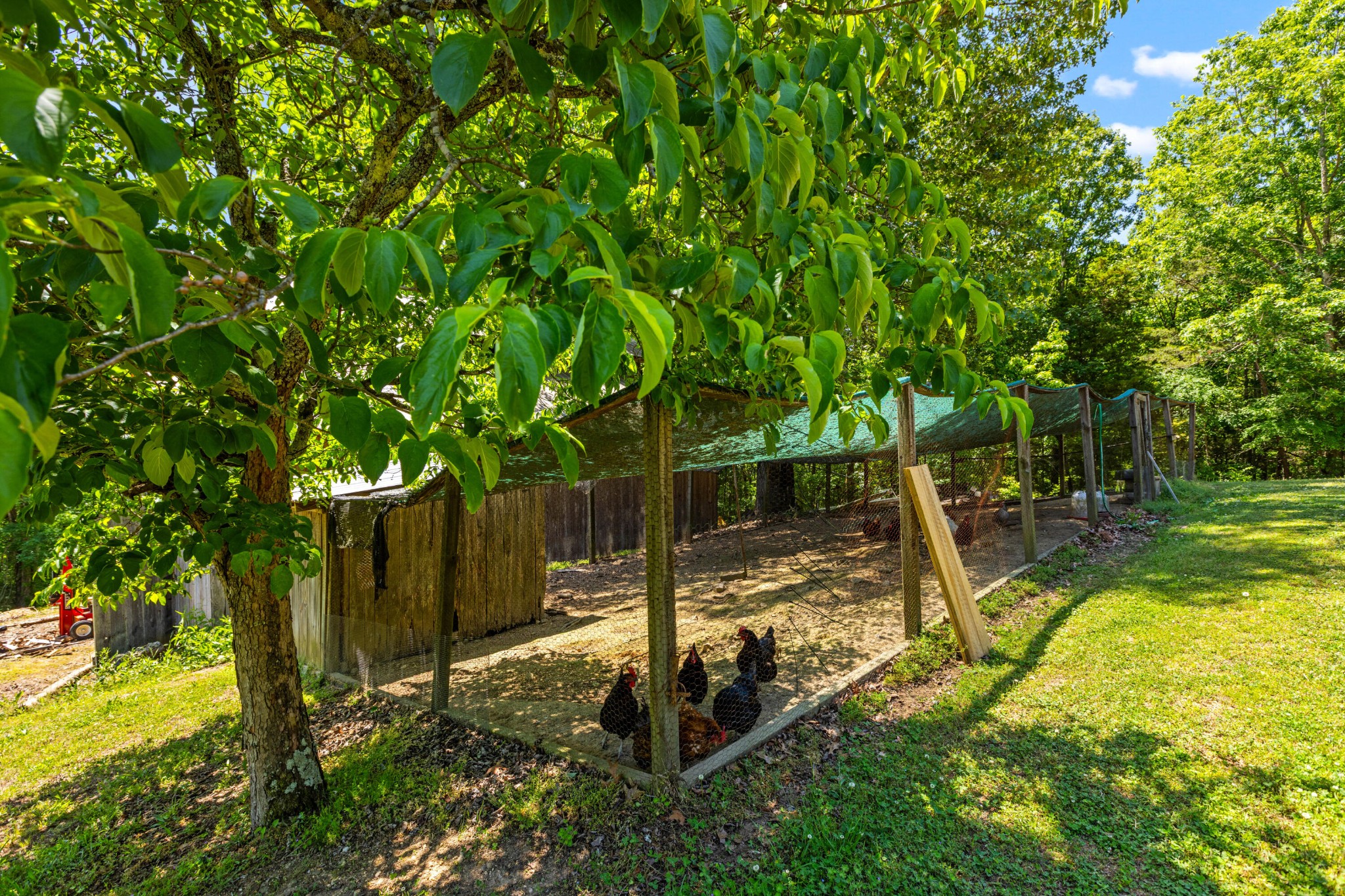6435 Davis Hill Road Harrison TN 37341