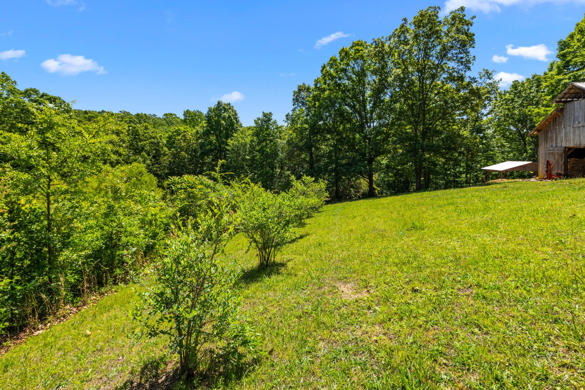 6435 Davis Hill Road Harrison TN 37341