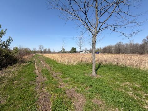11164 Old Us Highway 60 Loop Reed KY 42451
