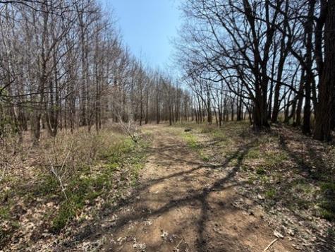 11164 Old Us Highway 60 Loop Reed KY 42451