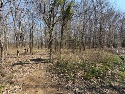 11164 Old Us Highway 60 Loop Reed KY 42451