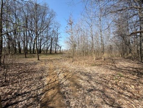 11164 Old Us Highway 60 Loop Reed KY 42451
