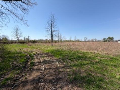 11164 Old Us Highway 60 Loop Reed KY 42451