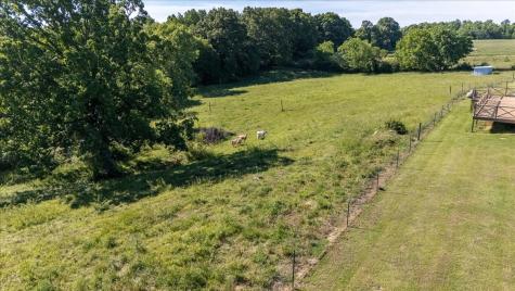 132 Beartown Road Loretto TN 38469