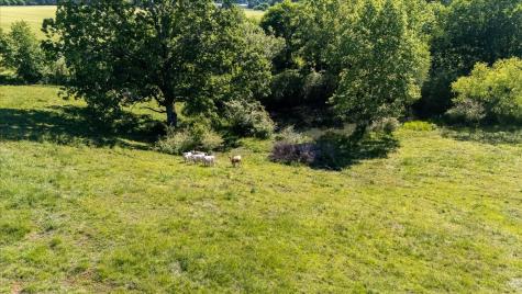132 Beartown Road Loretto TN 38469