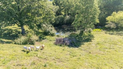 132 Beartown Road Loretto TN 38469