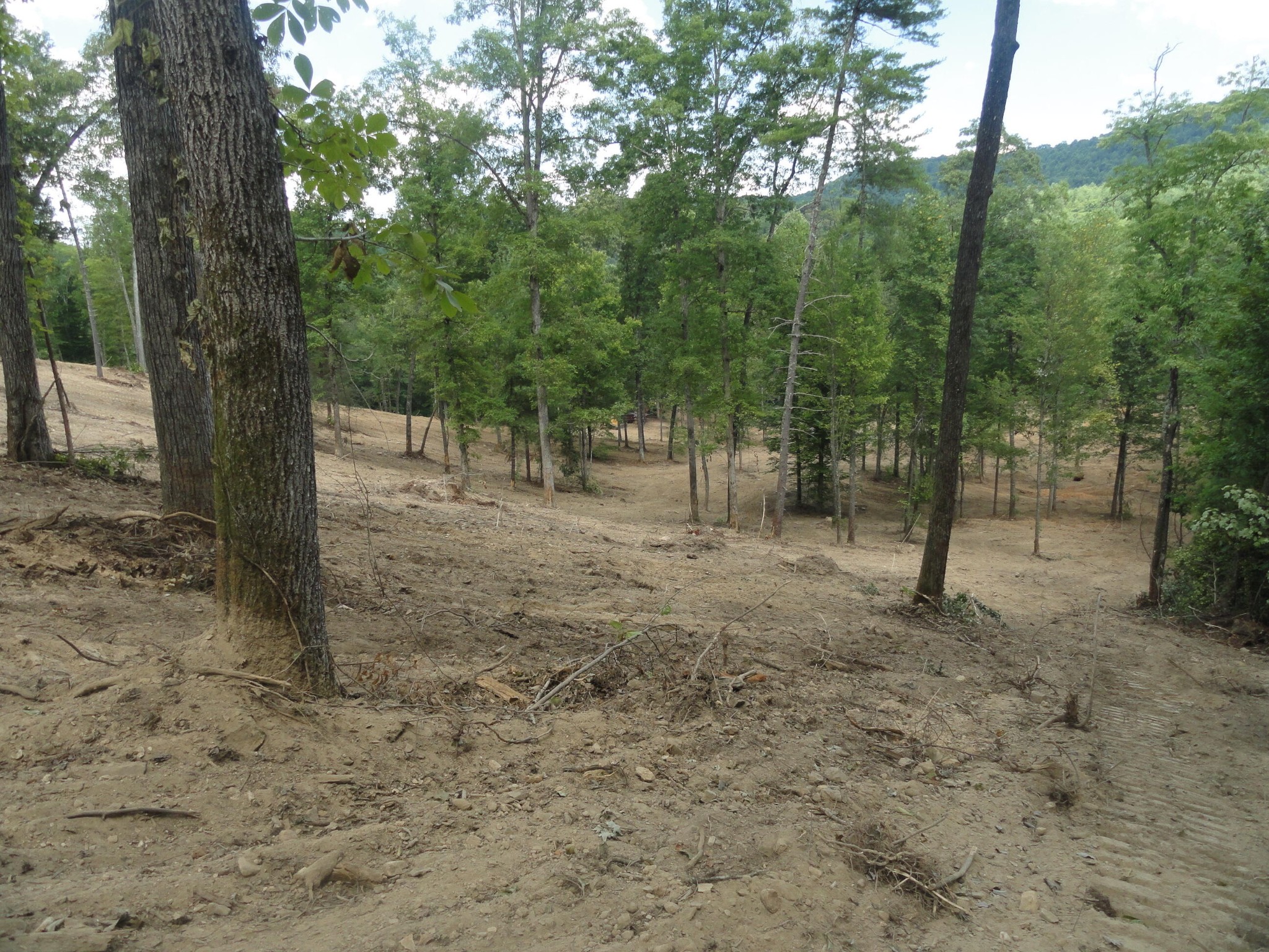 2277 Tellico Reliance Road Reliance TN 37369