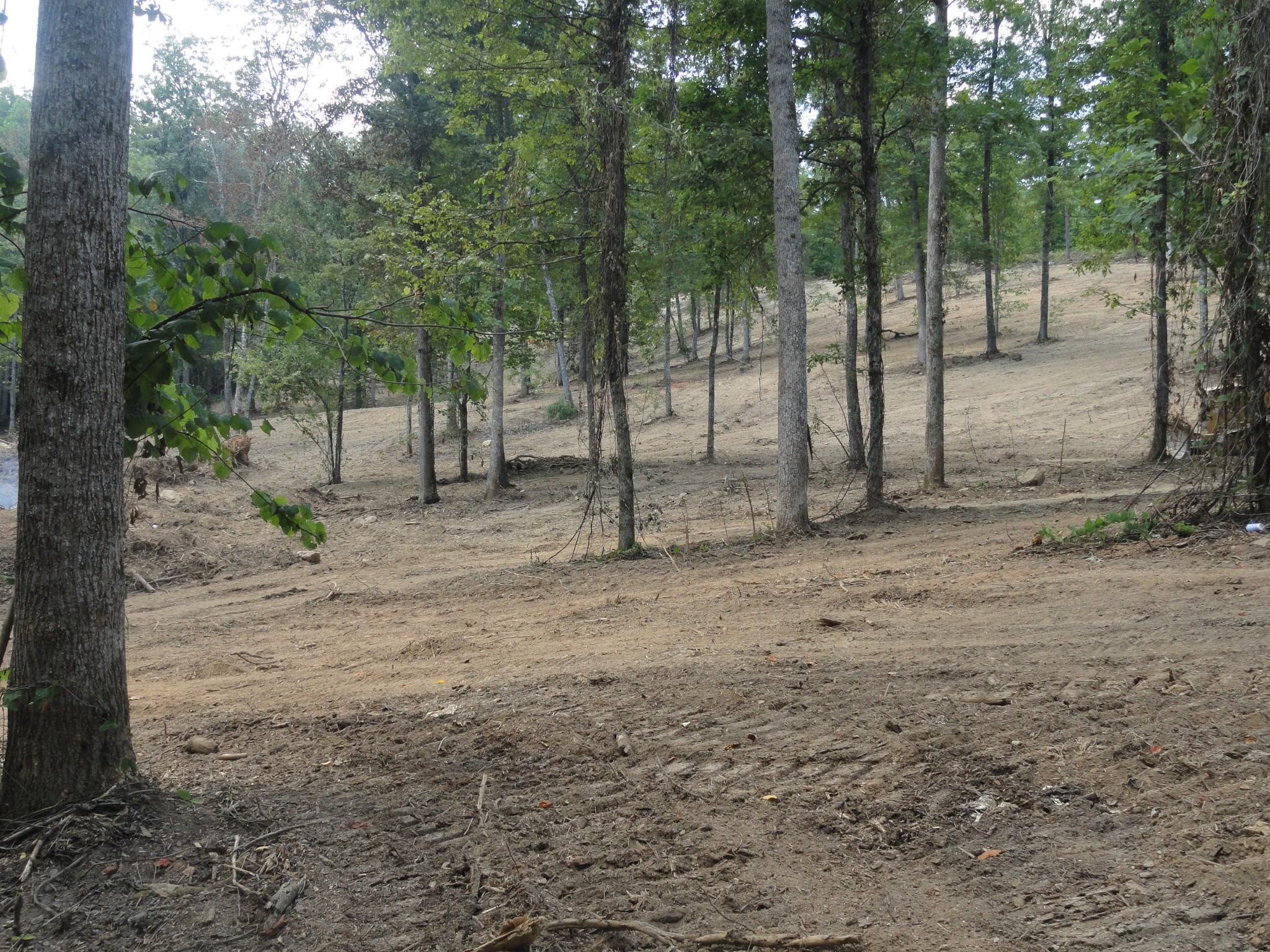 2277 Tellico Reliance Road Reliance TN 37369