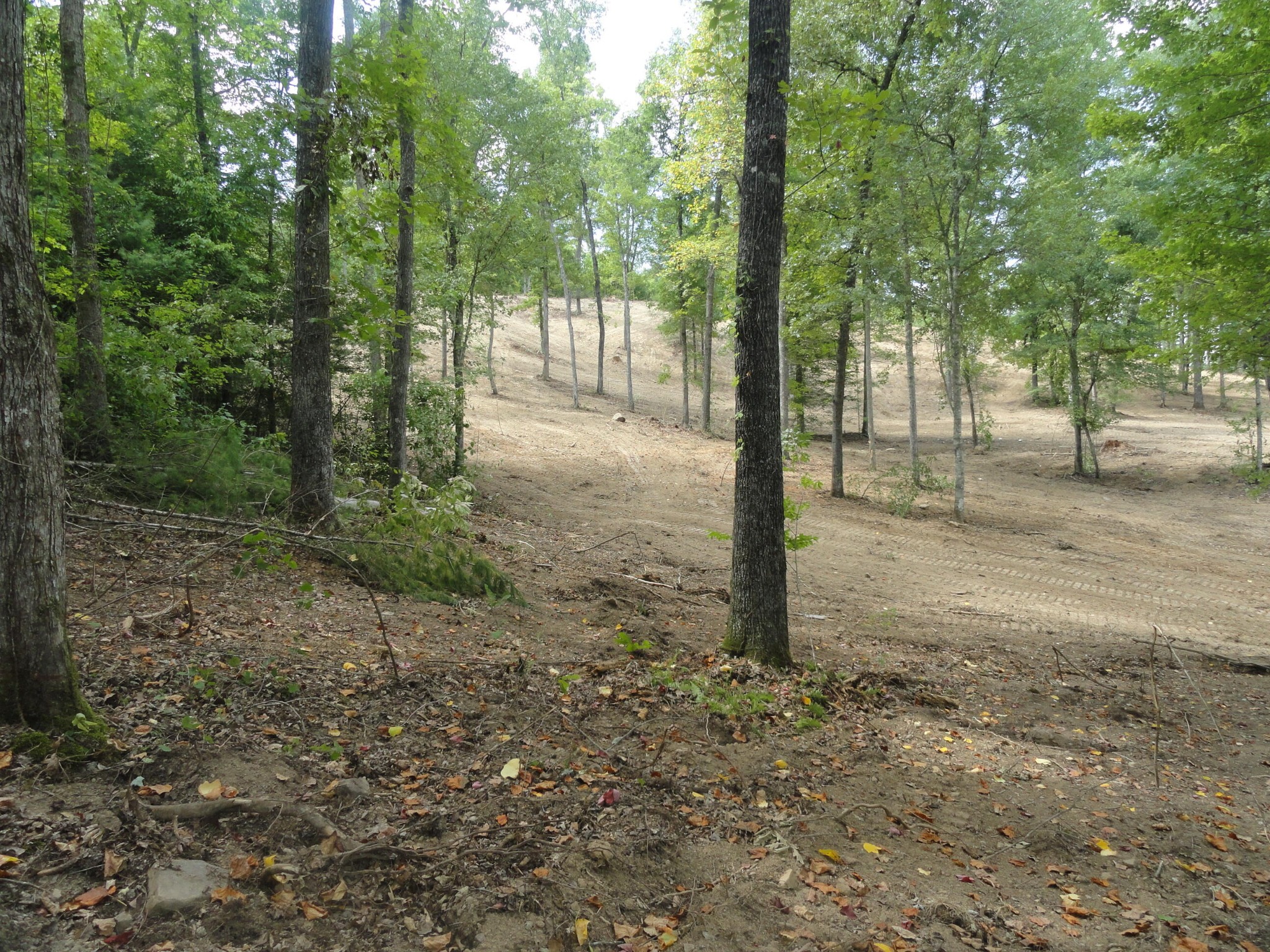 2277 Tellico Reliance Road Reliance TN 37369