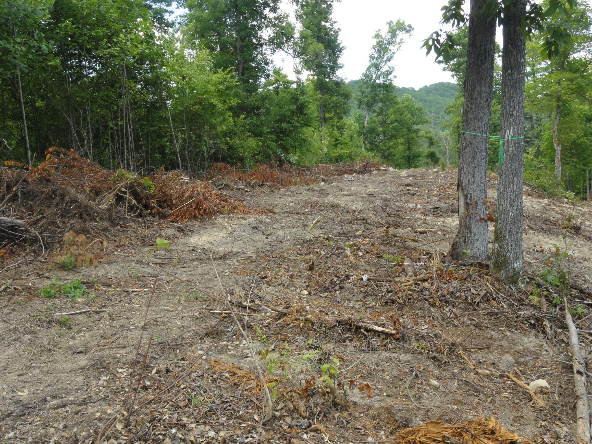 2277 Tellico Reliance Road Reliance TN 37369