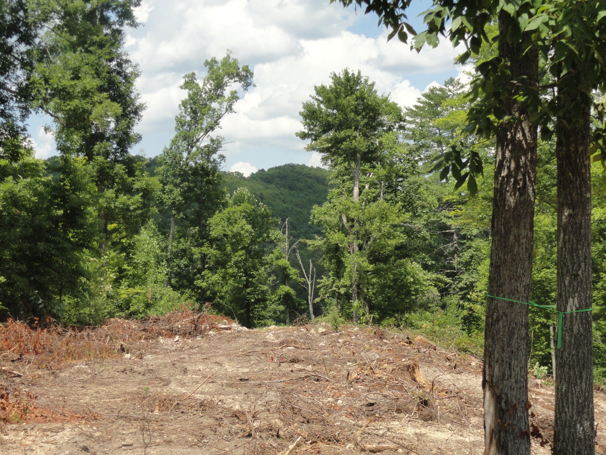 2277 Tellico Reliance Road Reliance TN 37369