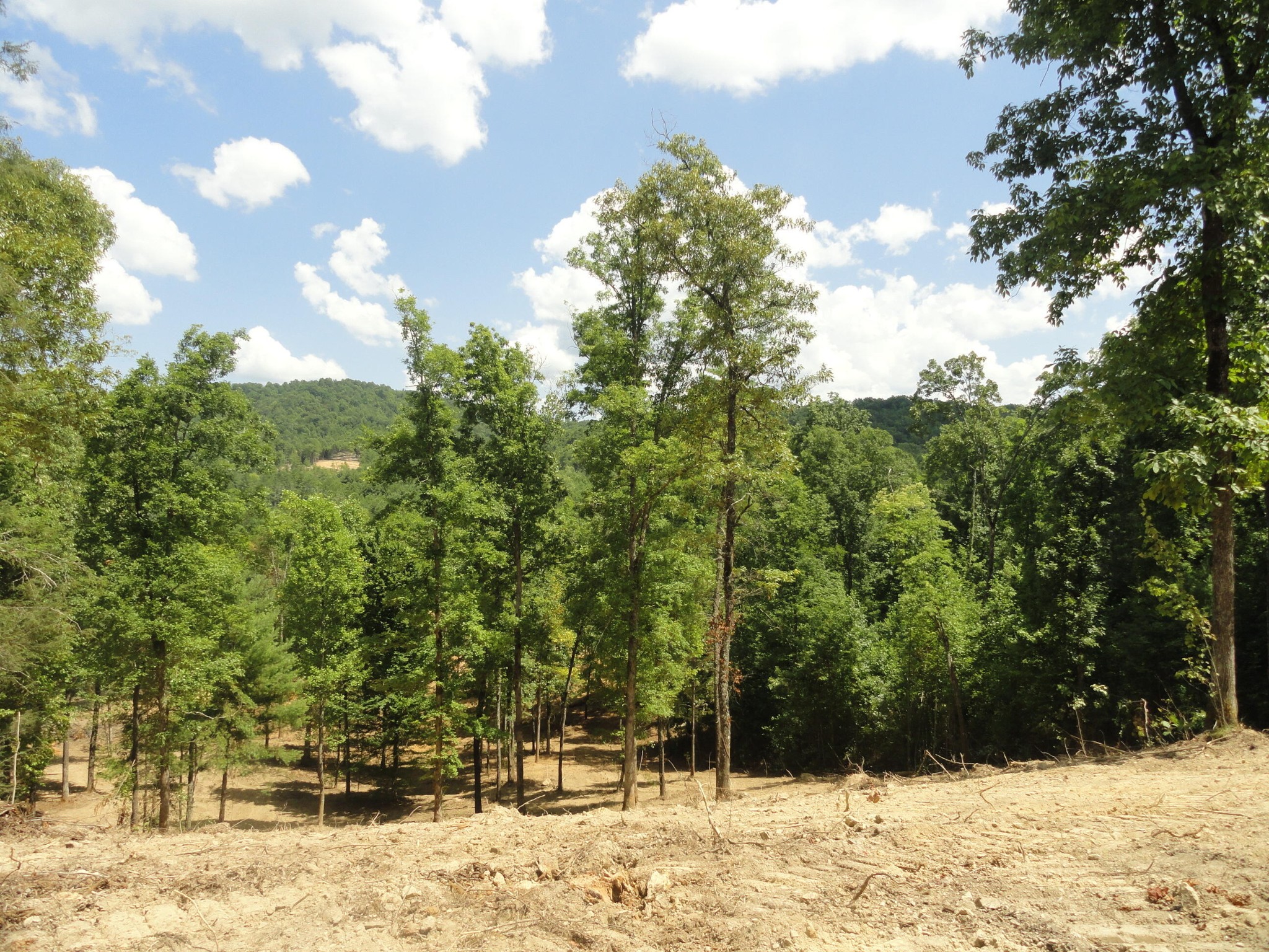 2277 Tellico Reliance Road Reliance TN 37369