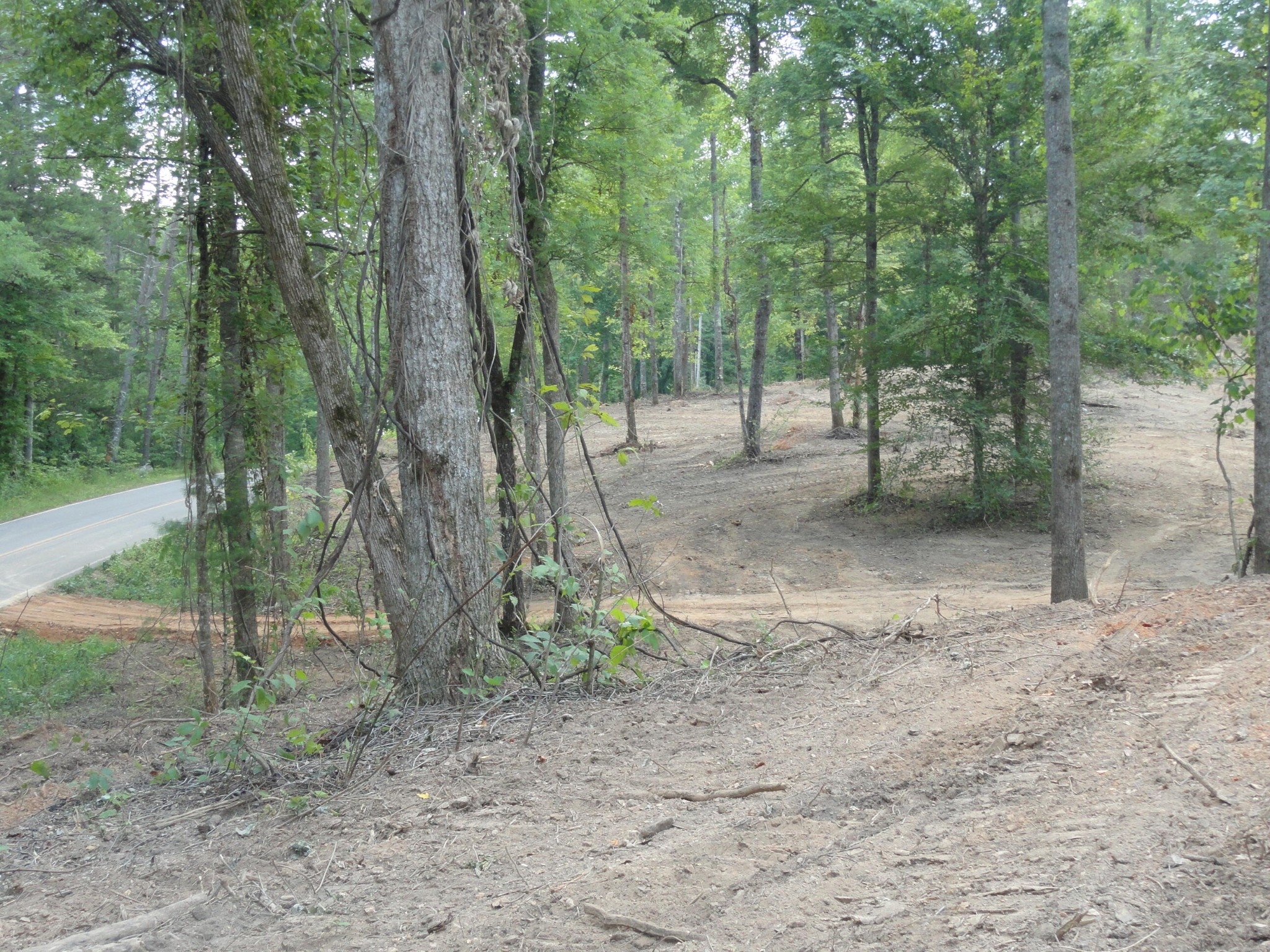 2277 Tellico Reliance Road Reliance TN 37369