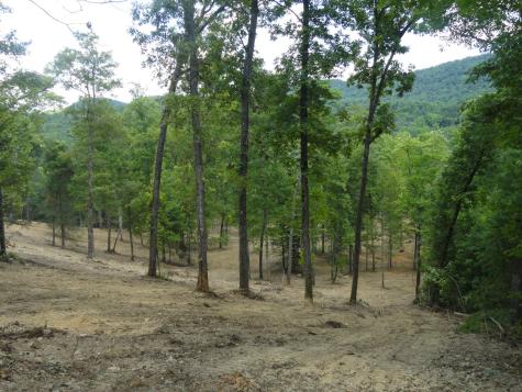 2277 Tellico Reliance Road Reliance TN 37369