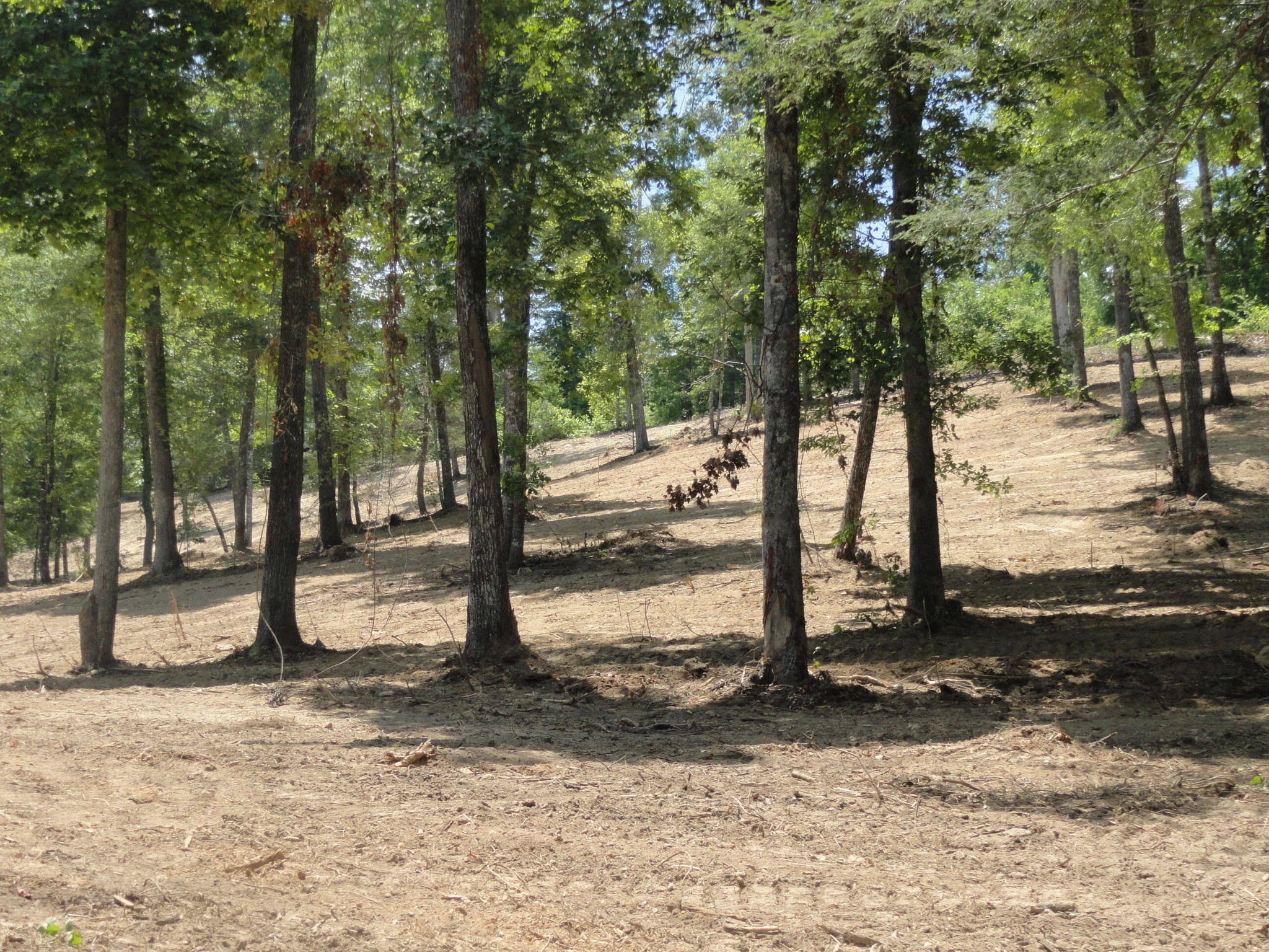 2277 Tellico Reliance Road Reliance TN 37369