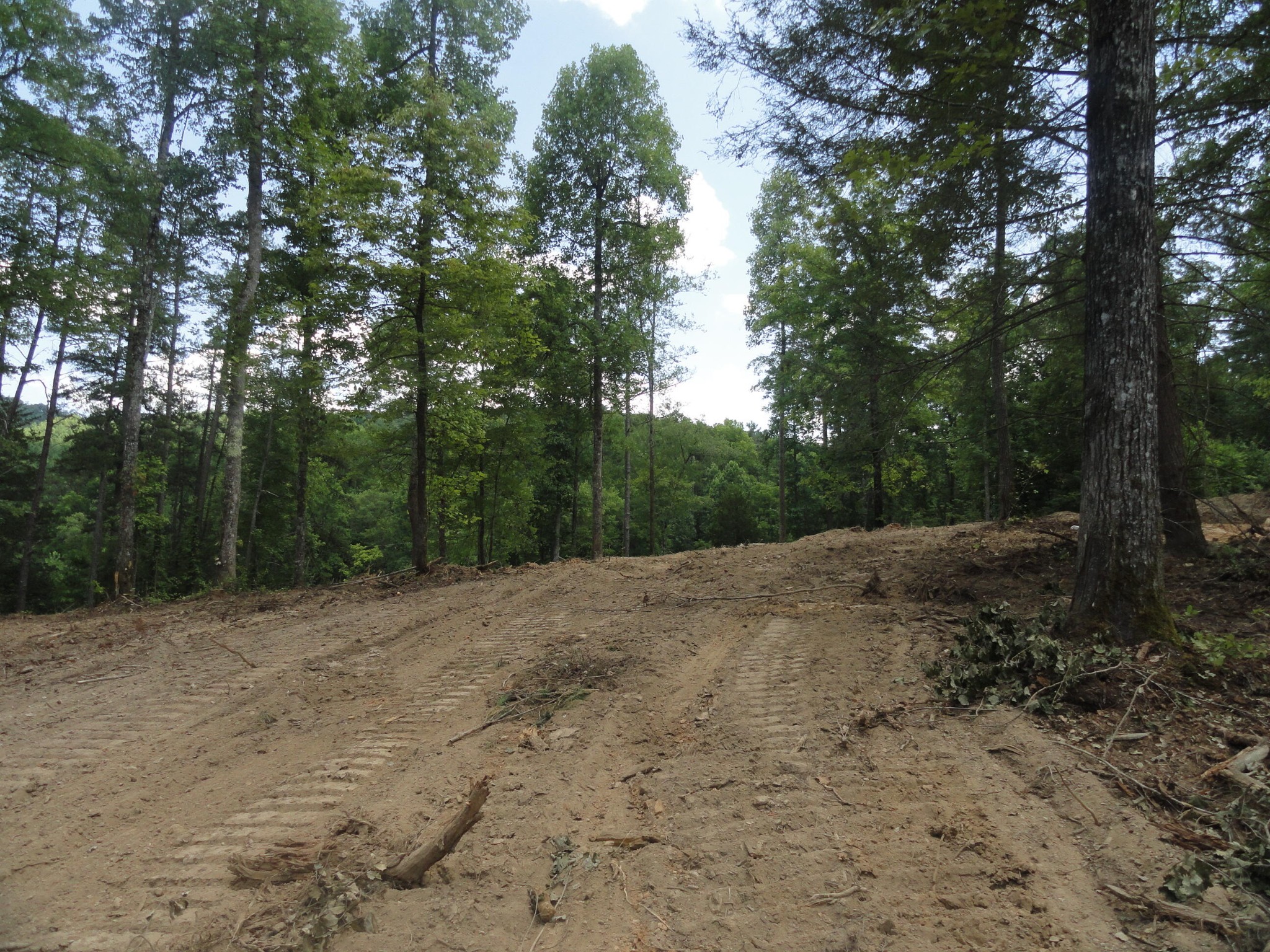 2277 Tellico Reliance Road Reliance TN 37369