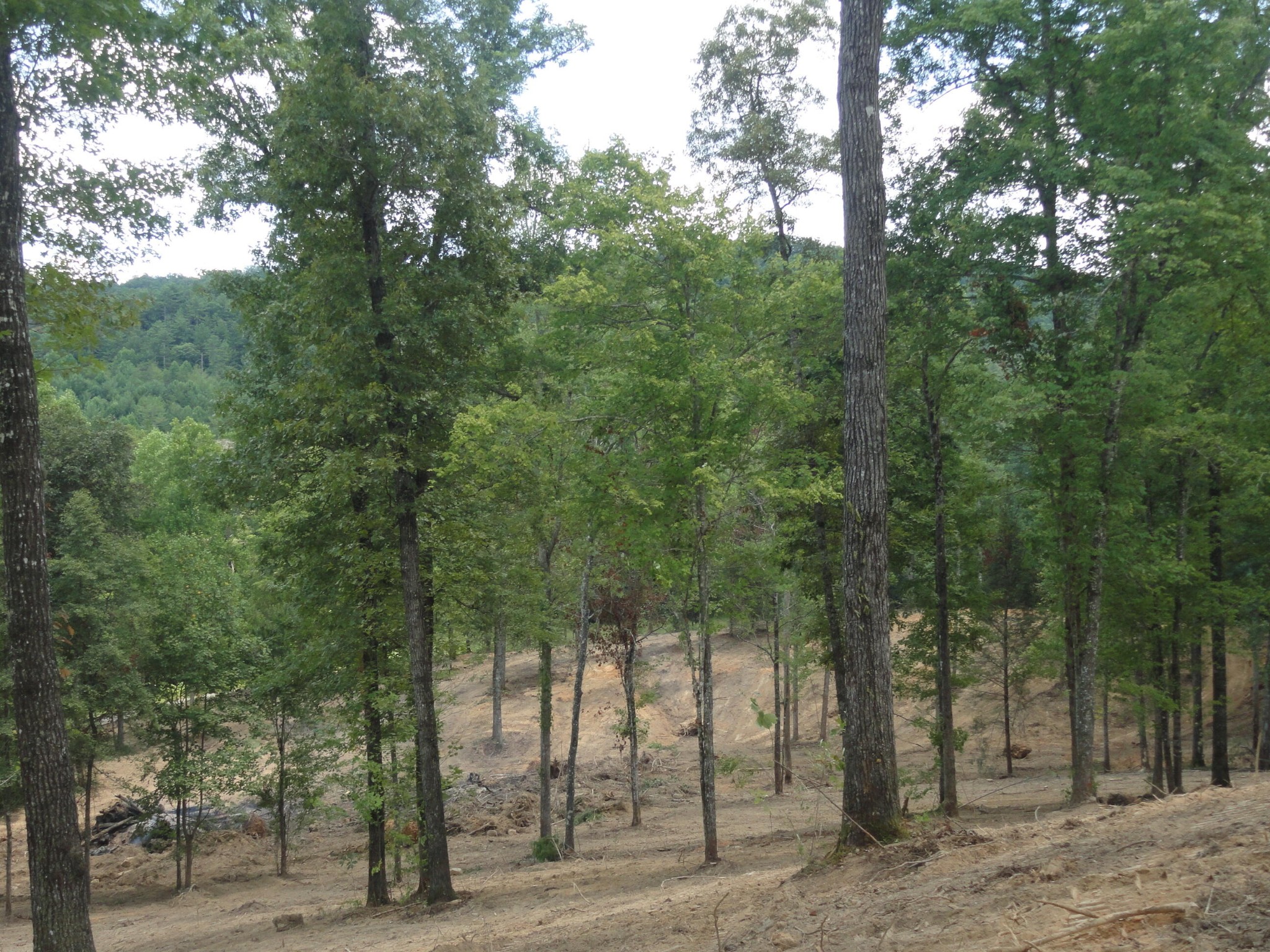2277 Tellico Reliance Road Reliance TN 37369