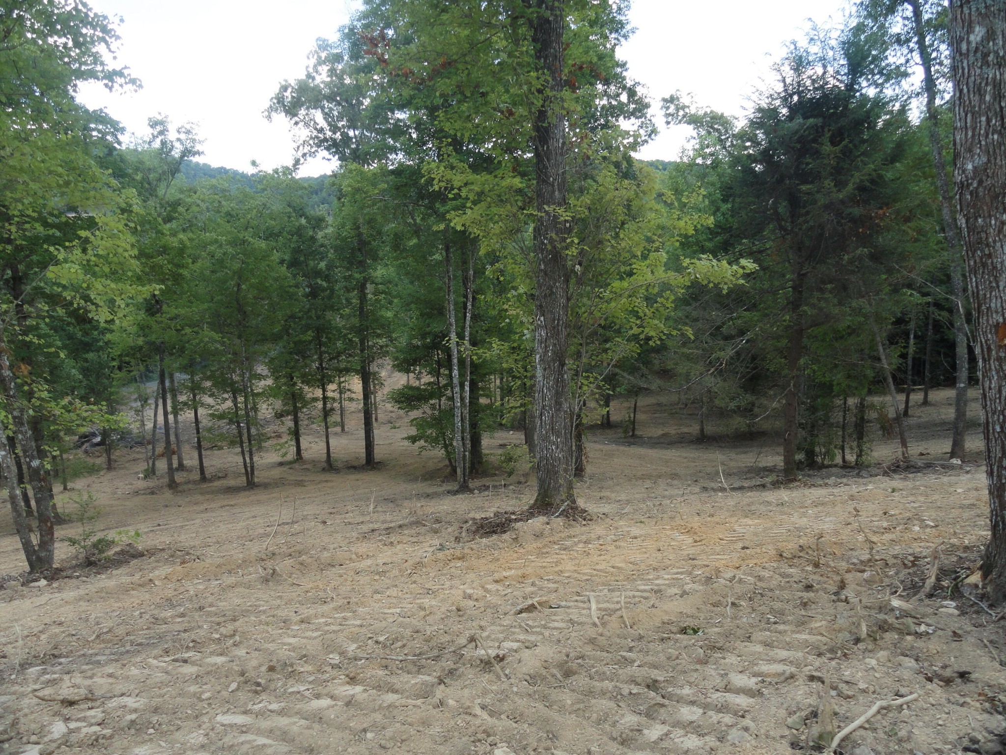 2277 Tellico Reliance Road Reliance TN 37369