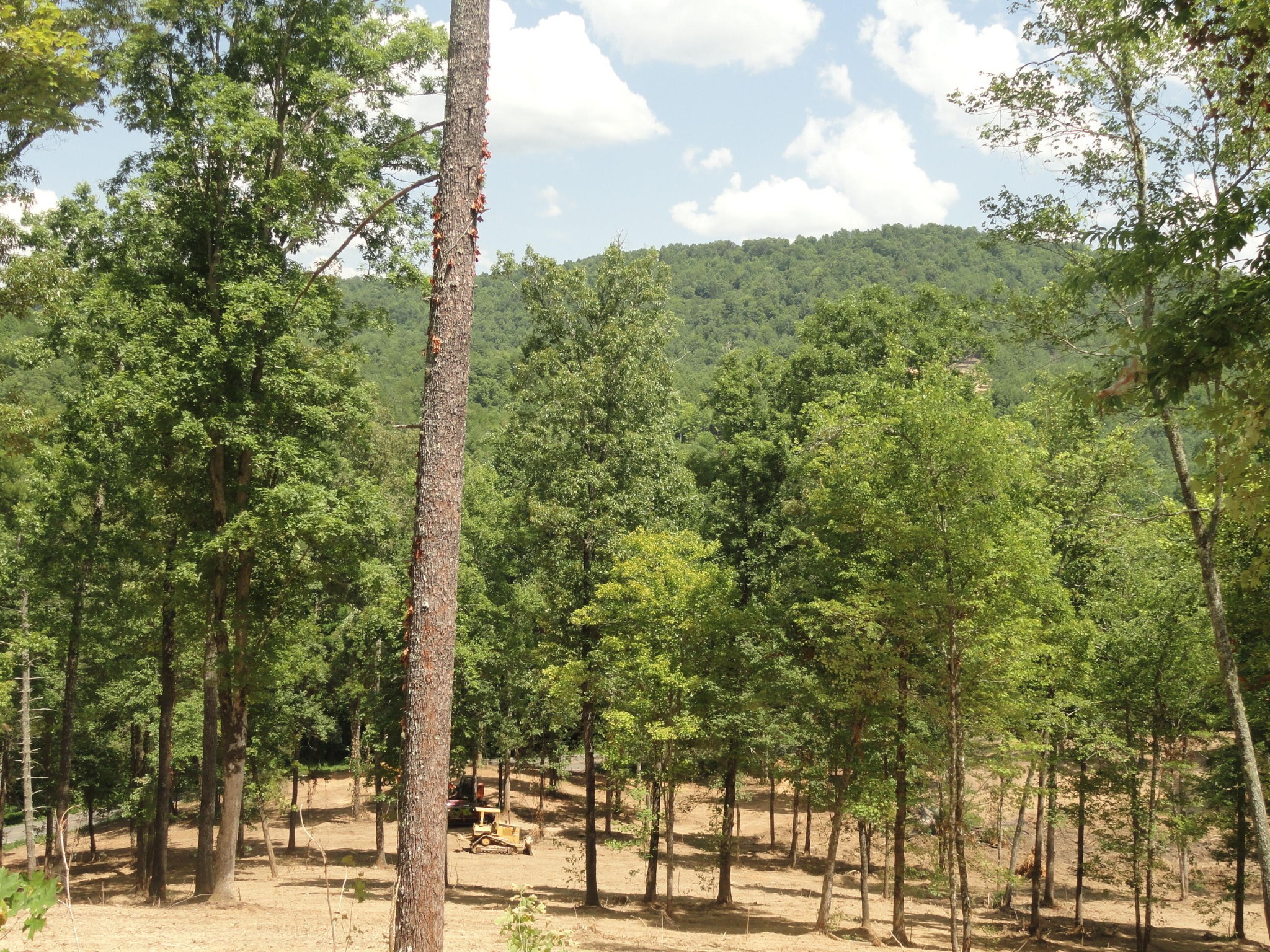 2277 Tellico Reliance Road Reliance TN 37369