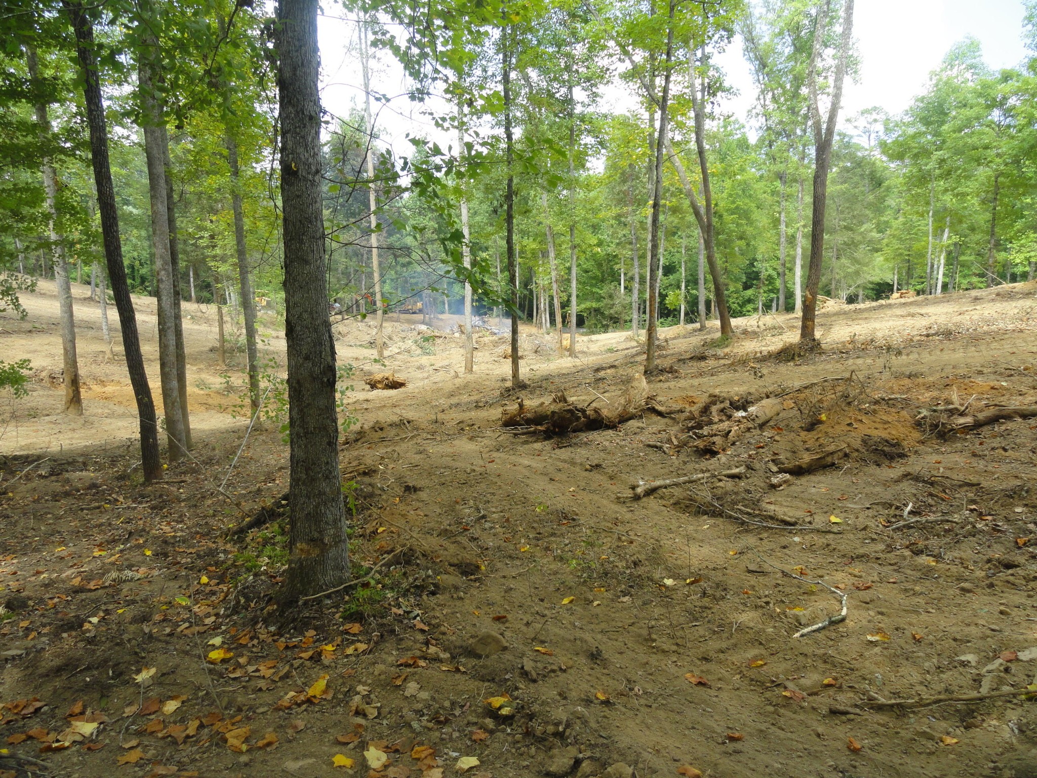 2277 Tellico Reliance Road Reliance TN 37369