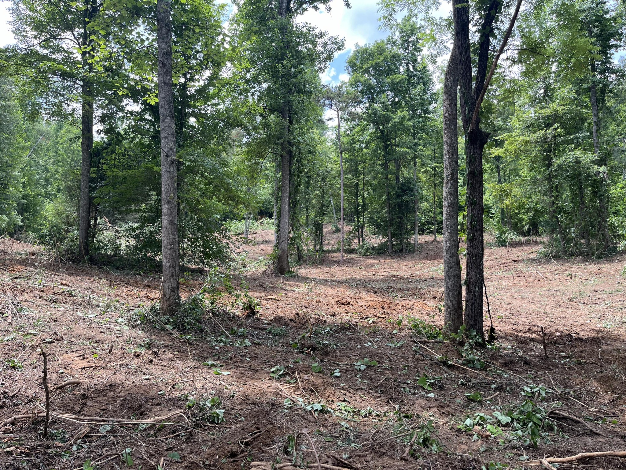 2277 Tellico Reliance Road Reliance TN 37369