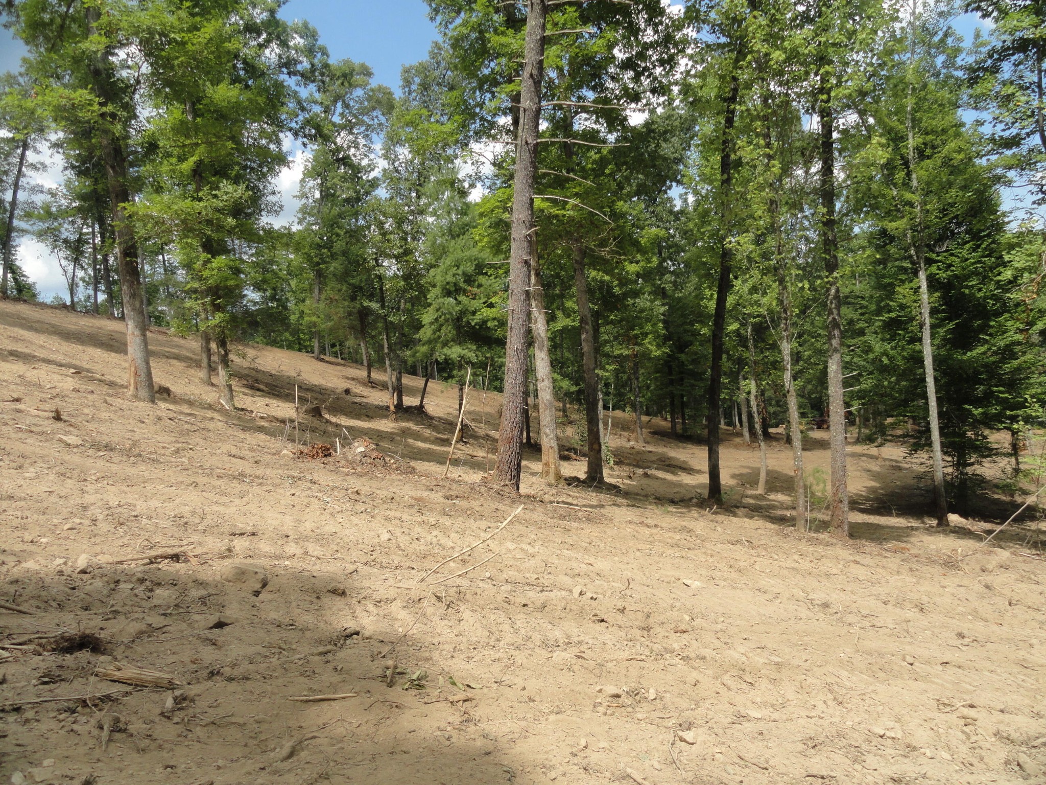 2277 Tellico Reliance Road Reliance TN 37369