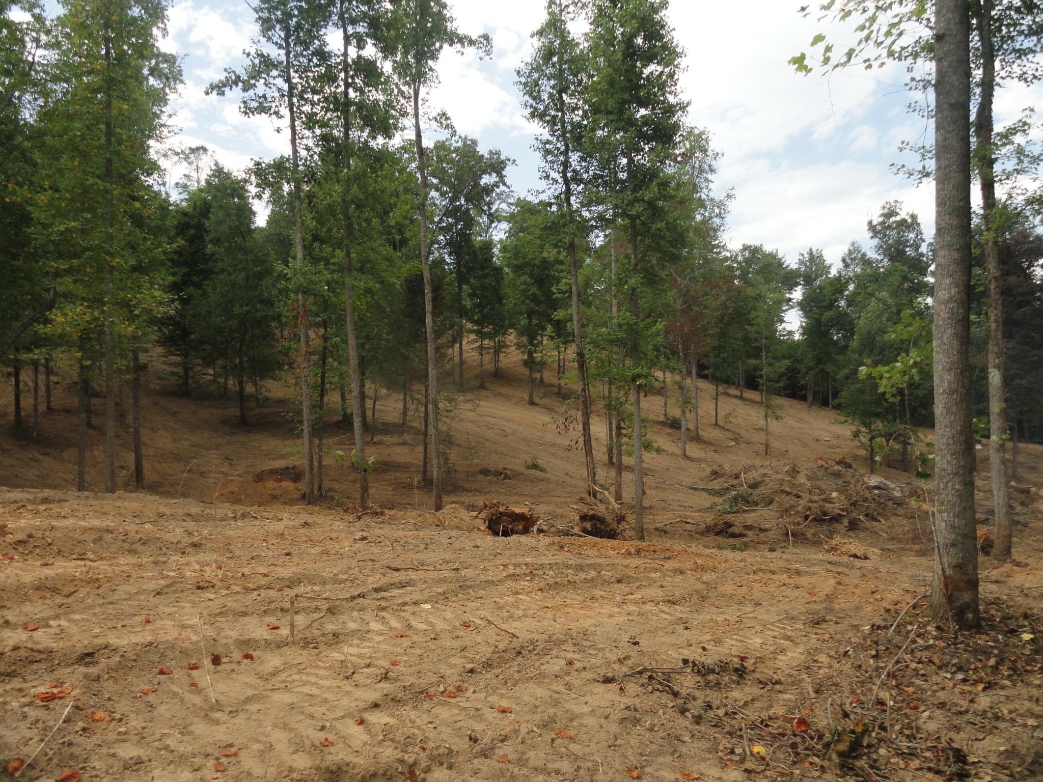 2277 Tellico Reliance Road Reliance TN 37369
