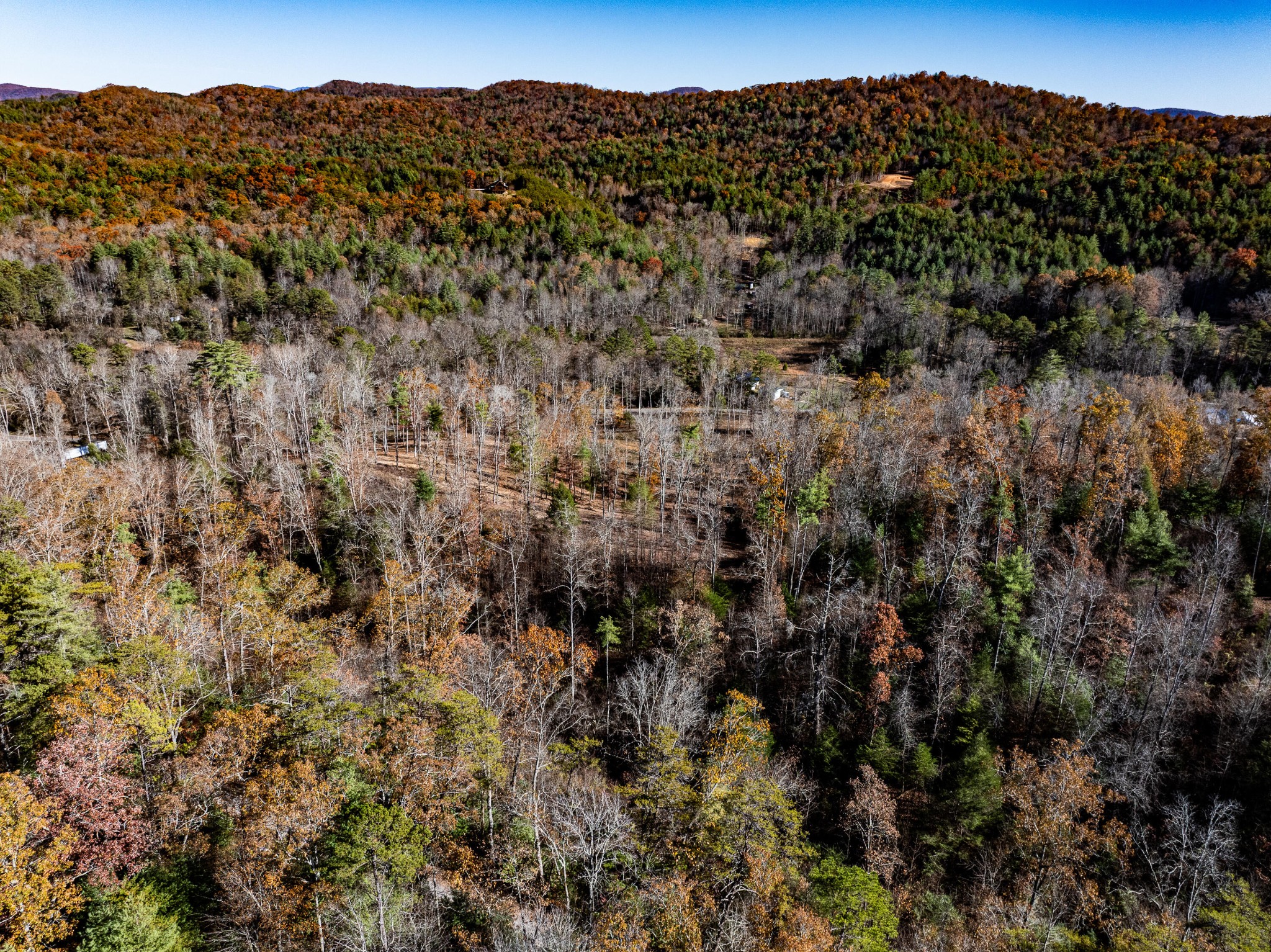2277 Tellico Reliance Road Reliance TN 37369
