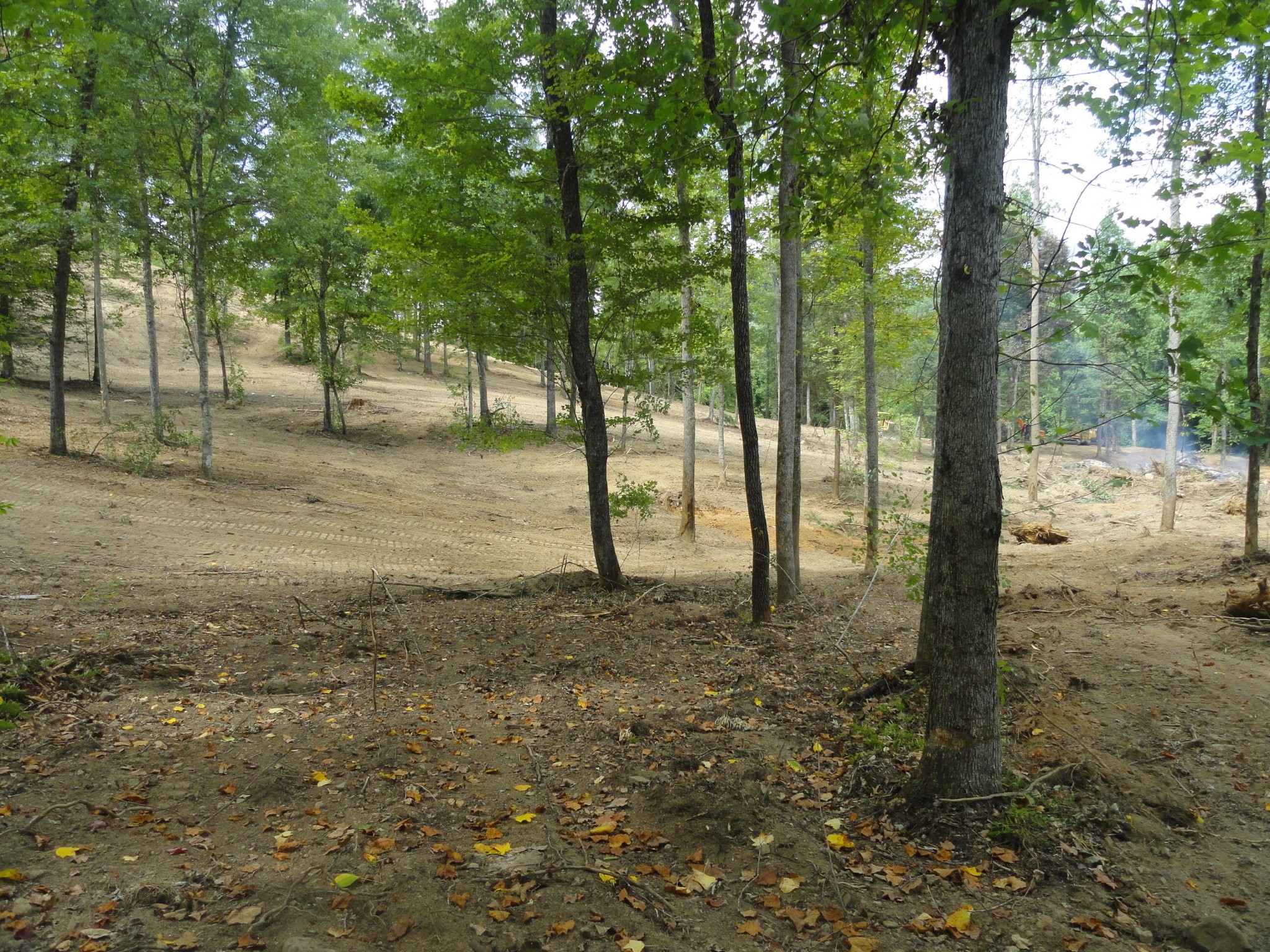 2277 Tellico Reliance Road Reliance TN 37369