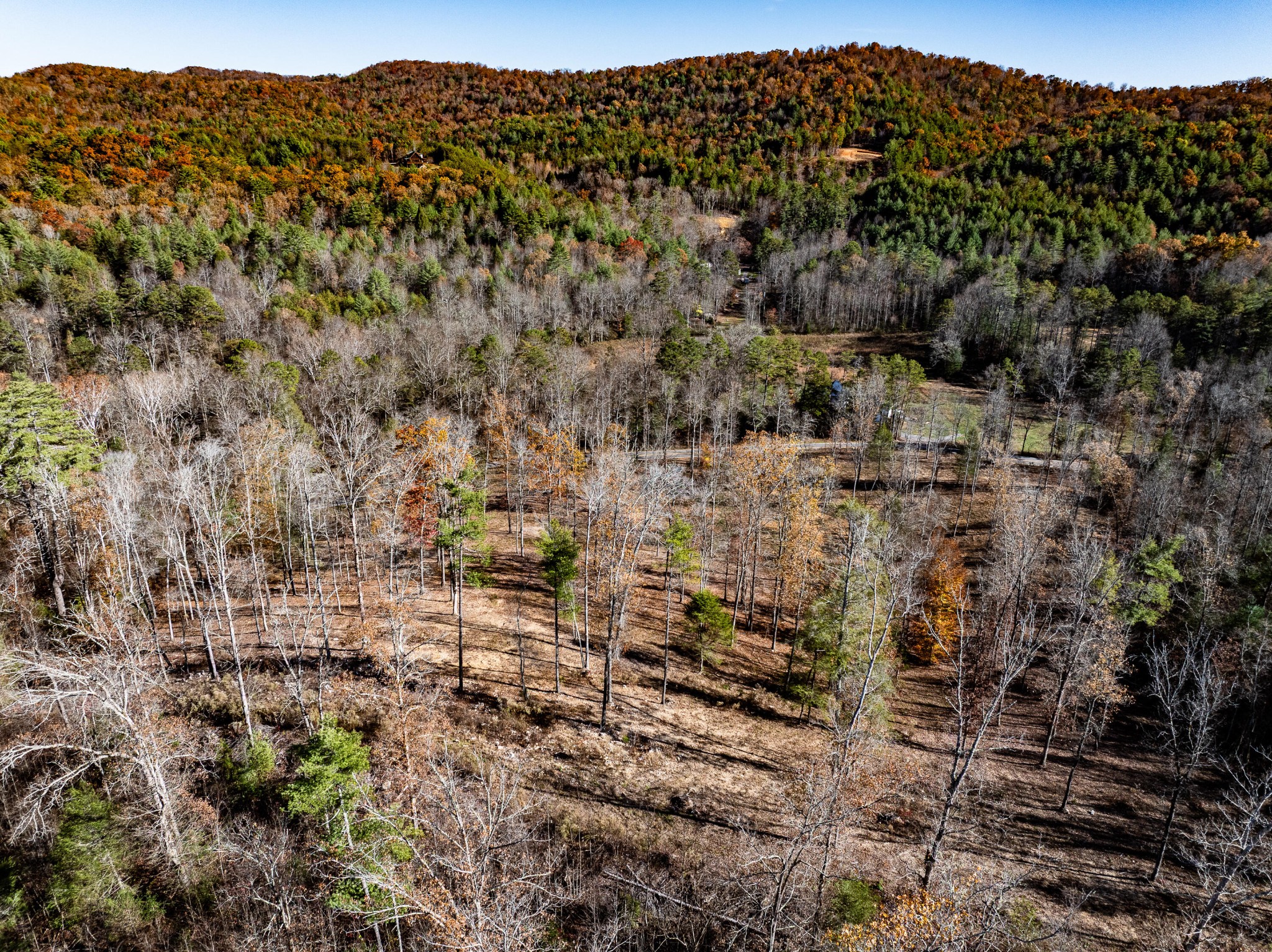 2277 Tellico Reliance Road Reliance TN 37369