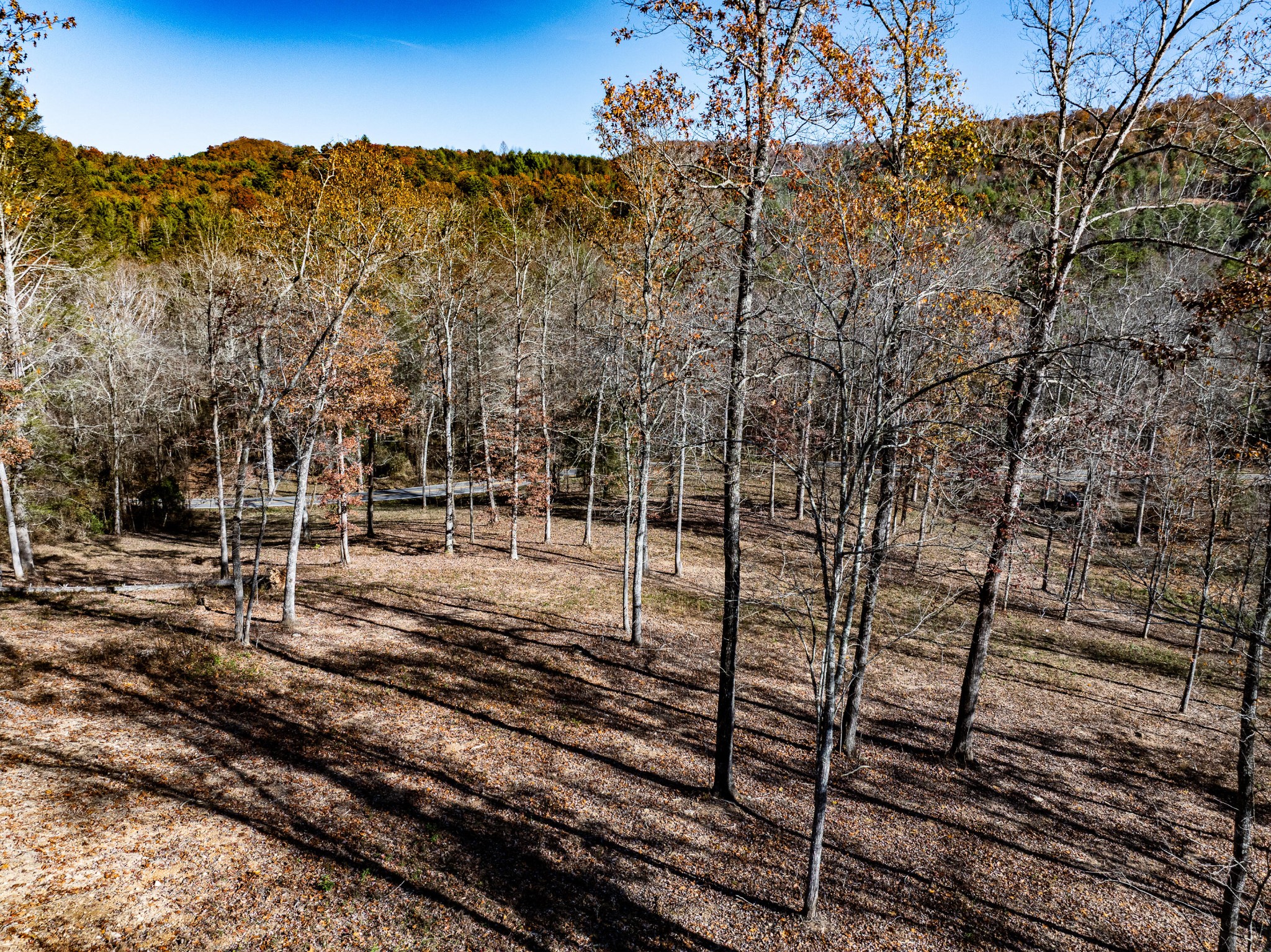 2277 Tellico Reliance Road Reliance TN 37369