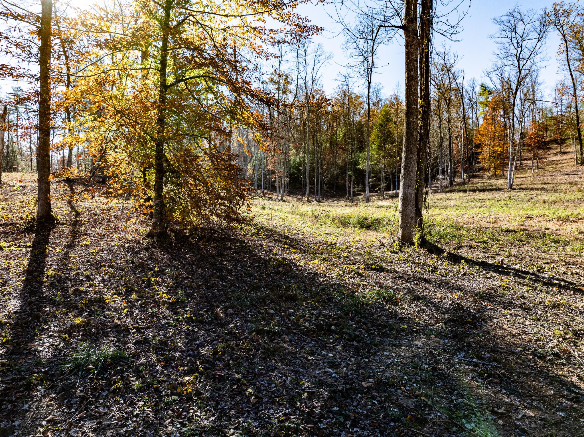 2277 Tellico Reliance Road Reliance TN 37369