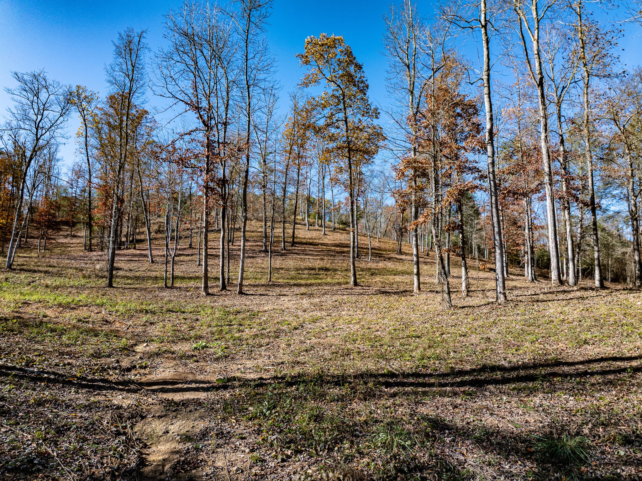 2277 Tellico Reliance Road Reliance TN 37369