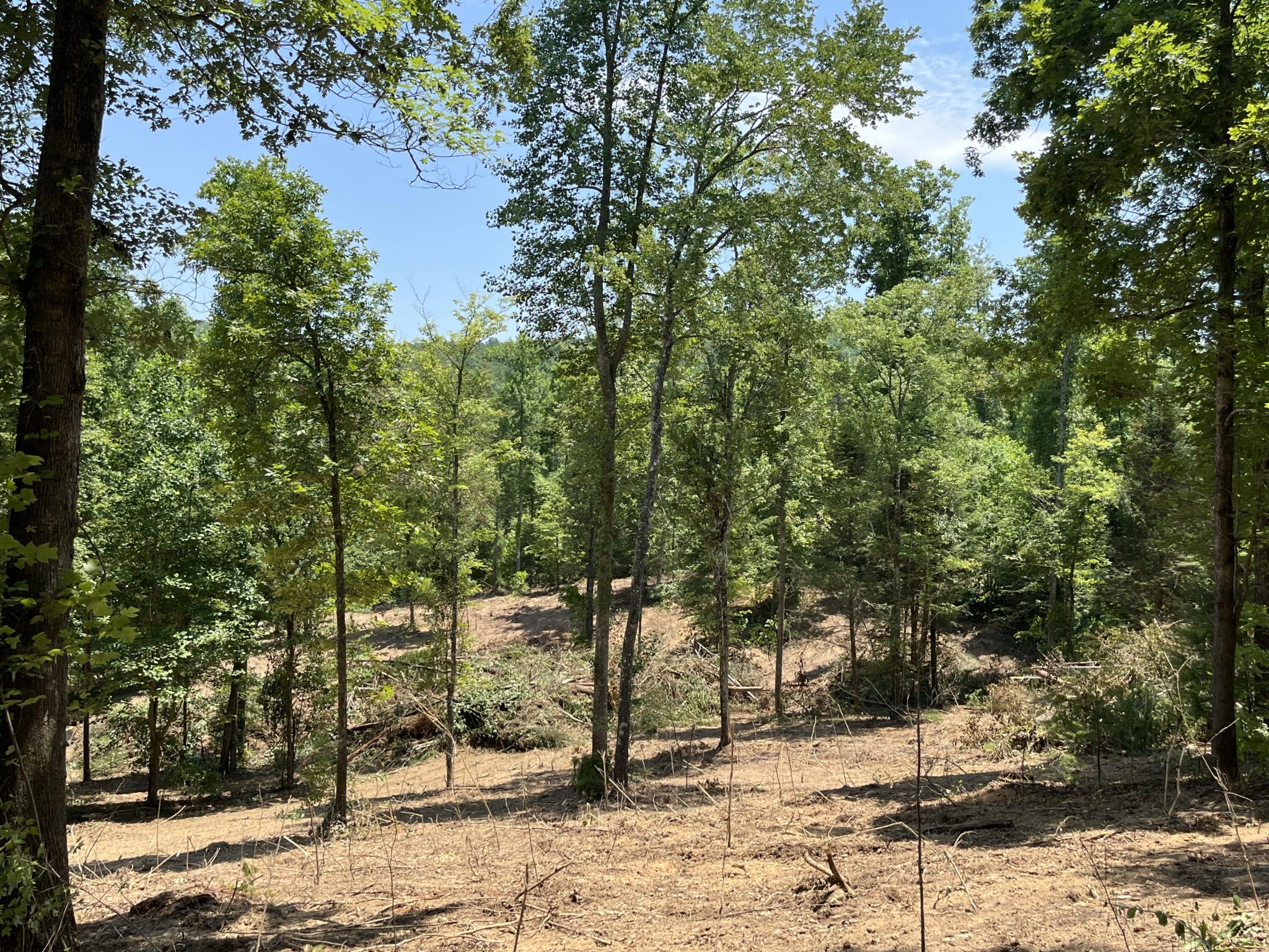 2277 Tellico Reliance Road Reliance TN 37369