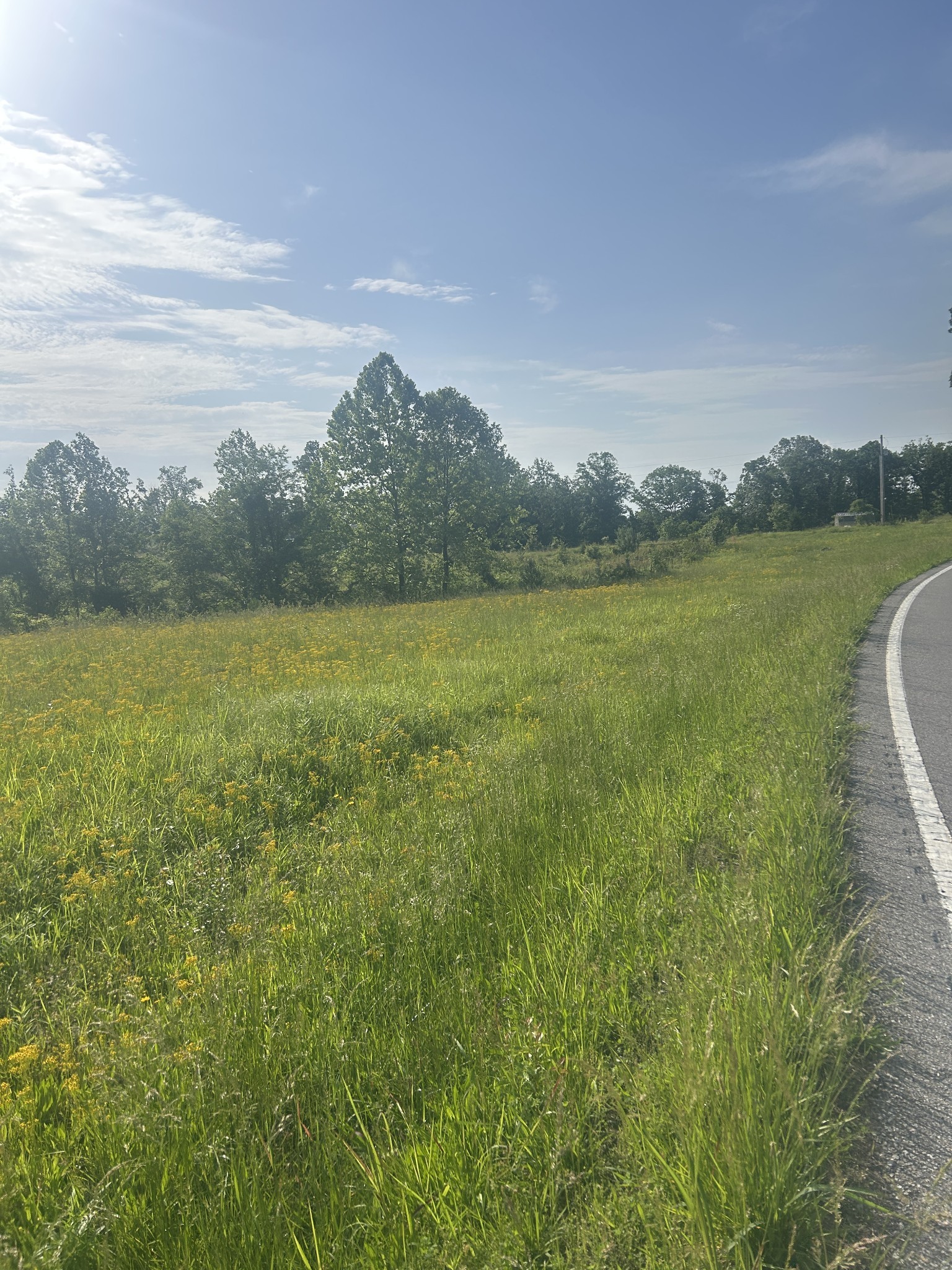 2047 Buffalo Road Hohenwald TN 38462