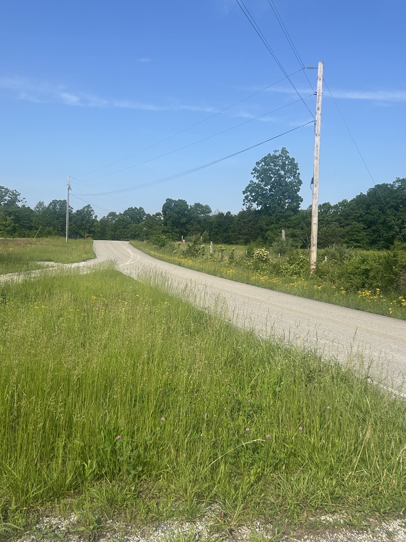 2047 Buffalo Road Hohenwald TN 38462